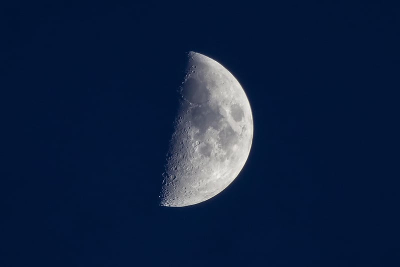 Lunar Pledges